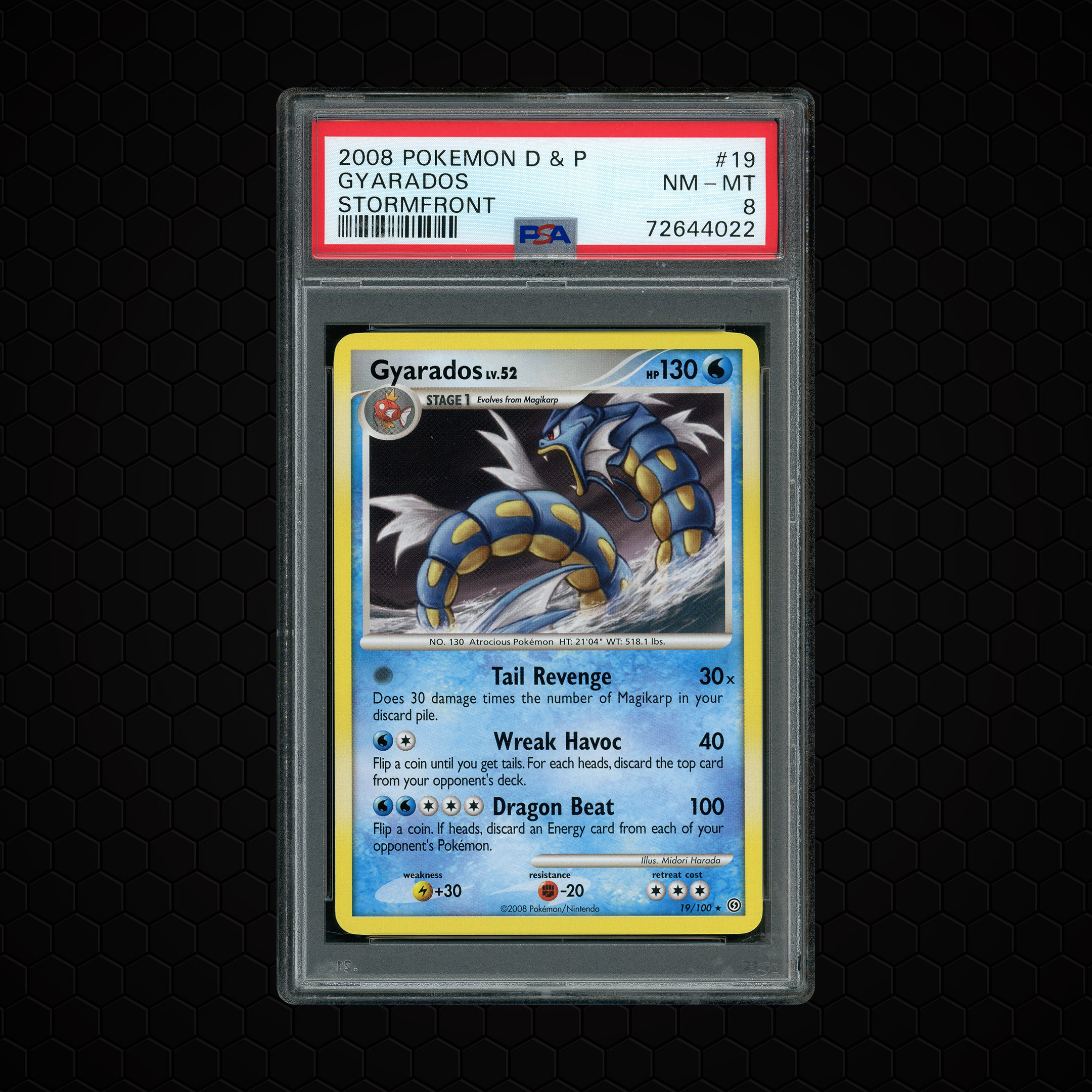 2008 Stormfront Gyarados #19 PSA 8
